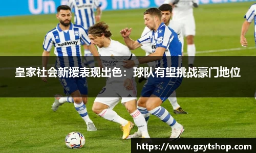 智博19有限公司