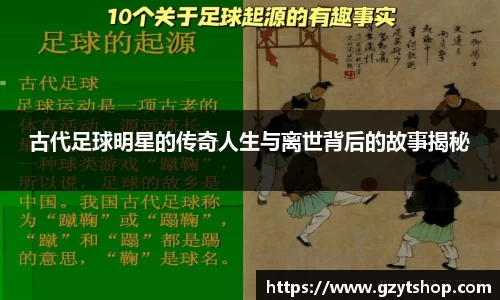 智博19有限公司